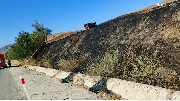 Kovancılar'da Yol Kenarında Korkutan Yangın!