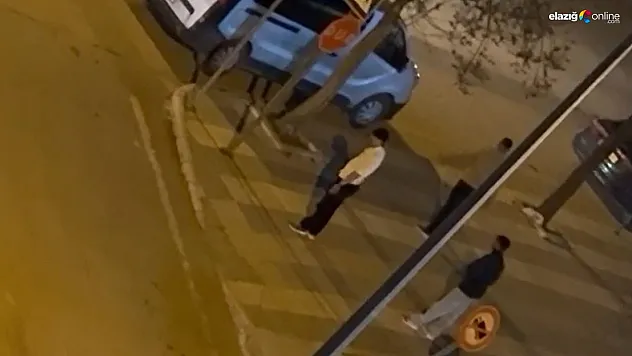 Elazığ'da Vandallık! Otobüs Durağını Böyle Parçaladılar!