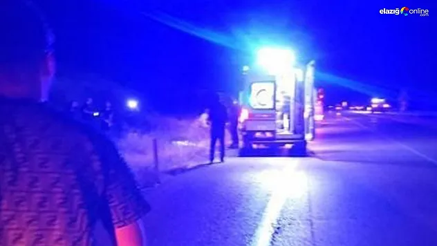 Genç Yaşta Can Verdiler: Kovancılar'da Trafik Faciası!