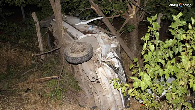 Önce köpeğe çarptı ardından şarampole yuvarlandı