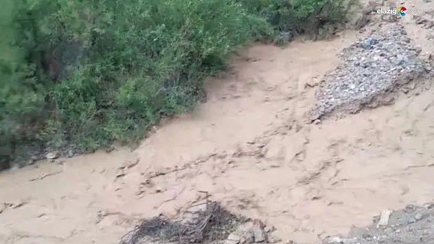 Elazığ Baskil'de sağanak yağış: Dereler taştı, tarım arazileri zarar gördü