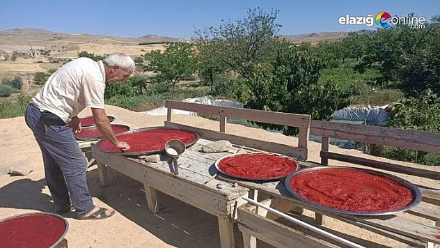 Elazığ'da salça mesaisi başladı