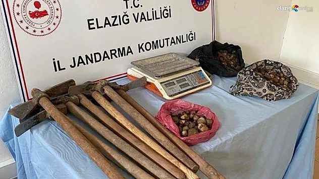 Elazığ'da salep sağanı toplayan 4 kişi yakalandı