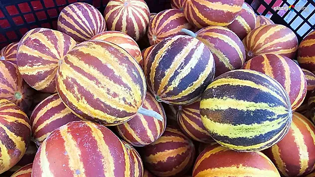 Elazığ'da Şamama Kavunu Pazar Tezgahlarında!