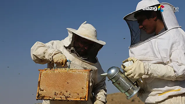 Elazığ'da Samyeli bal rekoltesini düşürdü