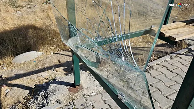 Elazığ'da Şehir Magandaları İş Başında! Durağın Camlarını Paramparça Ettiler!