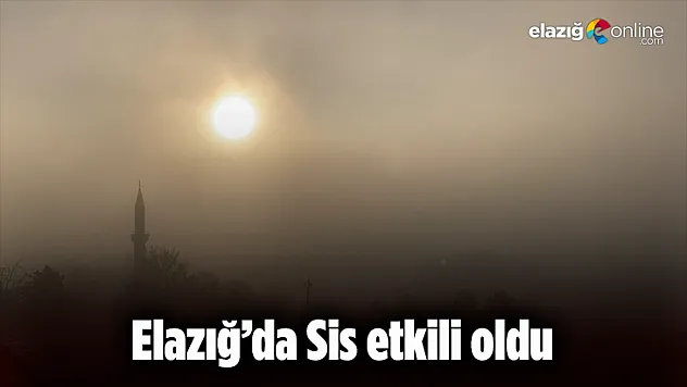 Elazığ'da sis etkili oldu
