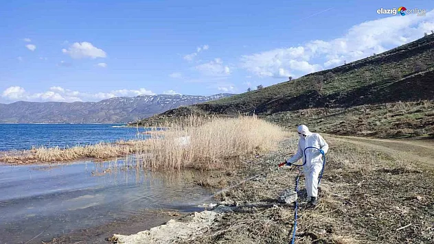 Elazığ'da Sağlıklı Bir Yaz için Büyük Adım! Haşere ve Larva İlaçlamaları Başladı!