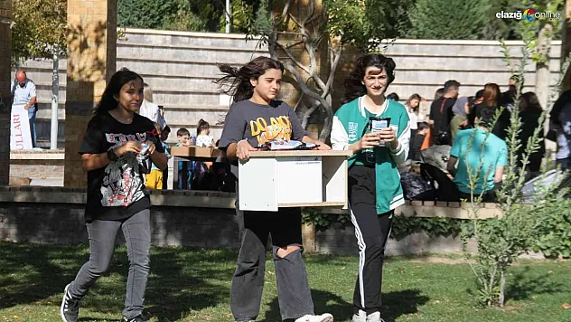 Elazığ'da sokak hayvanları için ev yapıldı