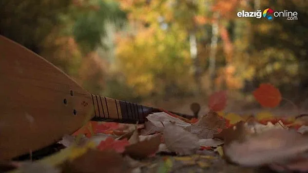 Elazığ'da sonbaharda rengarenk olan ağaçlar havadan görüntülendi