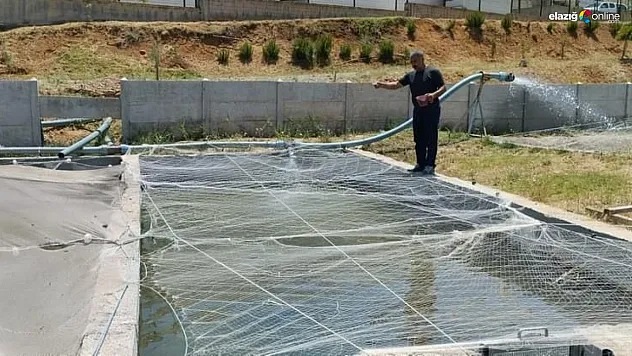 Elazığ'da balık üretim çalışmaları aralıksız sürüyor