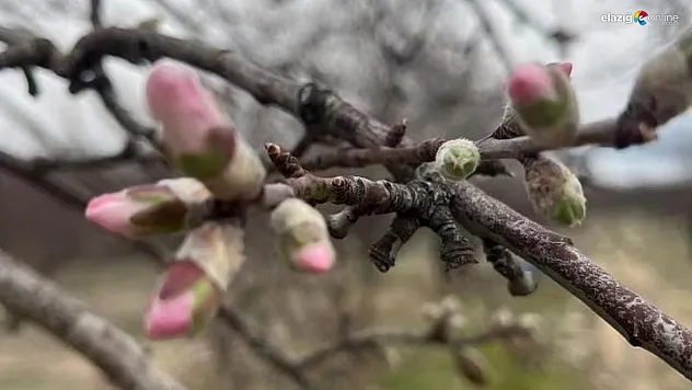 Bu mevsimde bu olay hiç normal değil!
