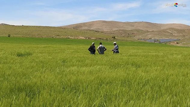 Tarımda Verimlilik için Elazığ'da 42 Teknik Personel Sahada!