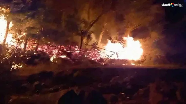 Tarlada çıkan yangını köylüler söndürdü