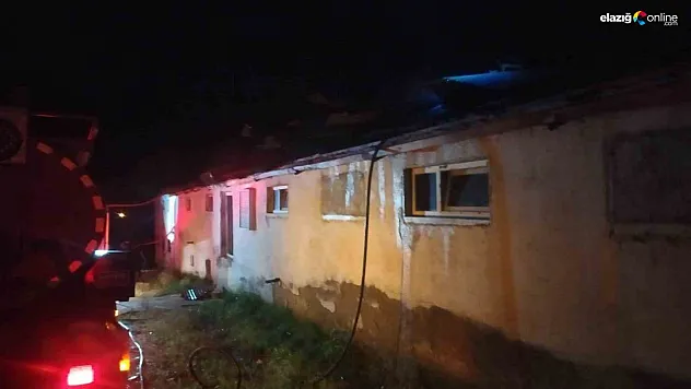 Yüzlerce tavuk telef oldu!