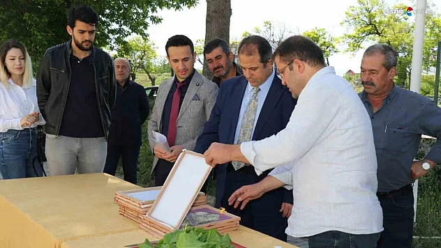 Üretim yapan 5 kişiye ipek böceği larvası dağıtıldı