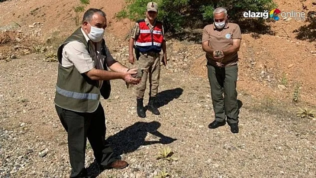 Elazığ'da usulsüz avlanan 1 şahıs yakalandı