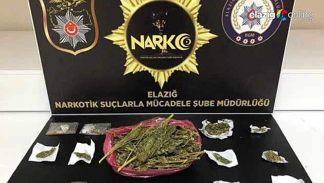 Uyuşturucu ile mücadele: 1 tutuklama