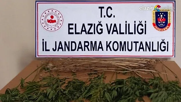 Uyuşturucu ile Mücadele Elazığ'da Hız Kesmiyor