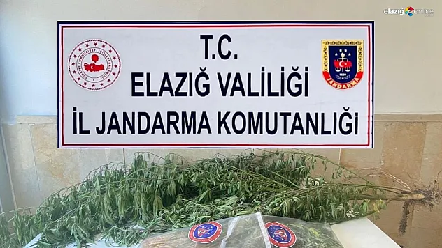 Varil içerisine zulalanmış kenevir ele geçirildi