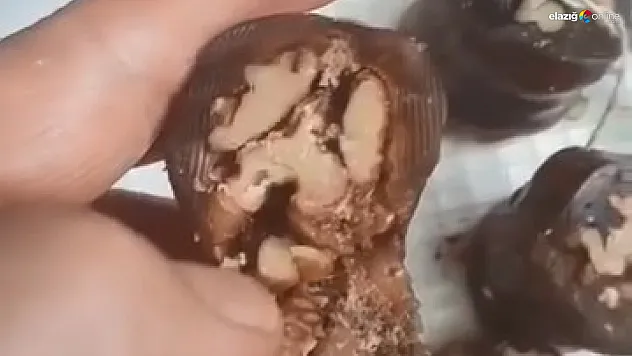 Elazığ'da Orcik Şoku: Yöresel Ürünün İçinden Böcek Çıktı!