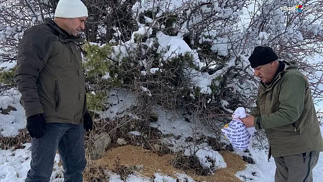 Elazığ'da yemleme faaliyetleri sürüyor
