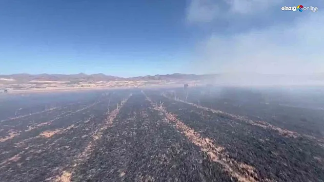 Kovancılar'da Yangın Paniği: 60 Dönümlük Tarım Arazisi Yok Oldu!