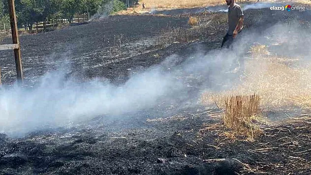 Cip Köyü'nde Korkutan Yangın! Vatandaş ve İtfaiye El Ele Söndürdü!
