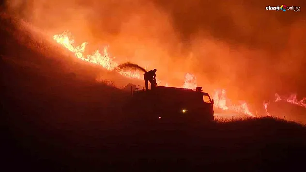 Elazığ'da Rüzgarın Etkisiyle Büyüyen Yangın, Köyde Tahliyeye Neden Oldu!