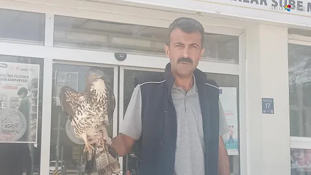 Yaralı Şahin Elazığ'da Tedaviye Alındı, Yeniden Doğaya Salınacak!