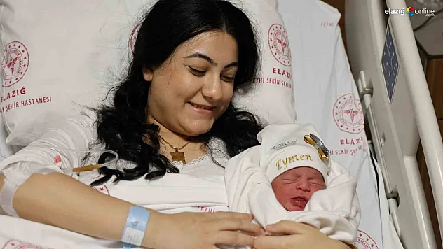 İşte yeni yılın ilk bebekleri!