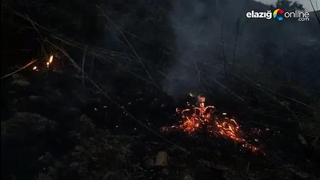 Yıldırım yangına neden oldu