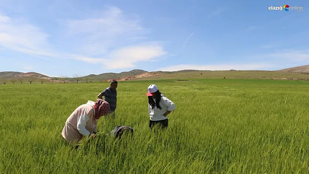 Elazığ'da Zootekni ve Veteriner mezunlarına iş fırsatı!