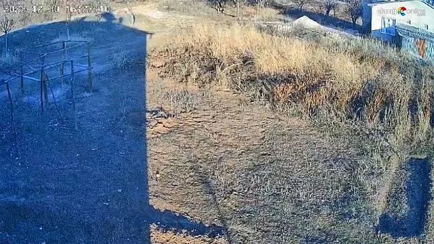 Deprem anı güvenlik kamerasına böyle yansıdı!