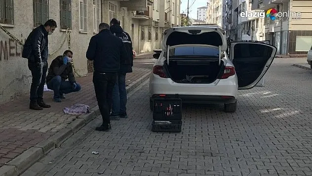 Elazığ'daki cinayetin şüphelisi tutuklandı