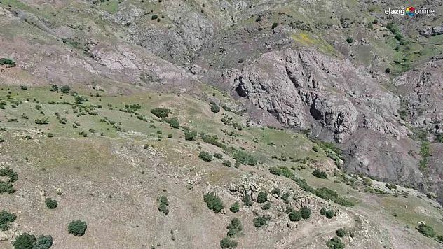 Dilara Günana cinayetin detayları ortaya çıktı