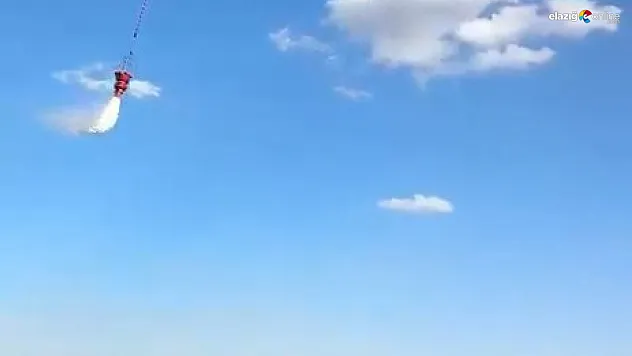 Karakoçan'da Rüzgarın Etkisiyle Büyüyen Yangın Güçlükle Söndürüldü