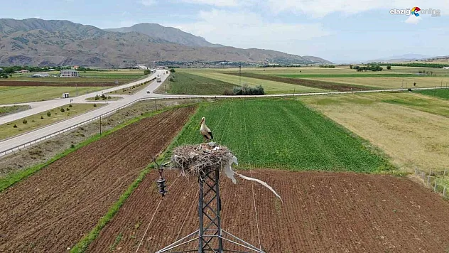 Her sene köylülerin misafiri oluyorlar!