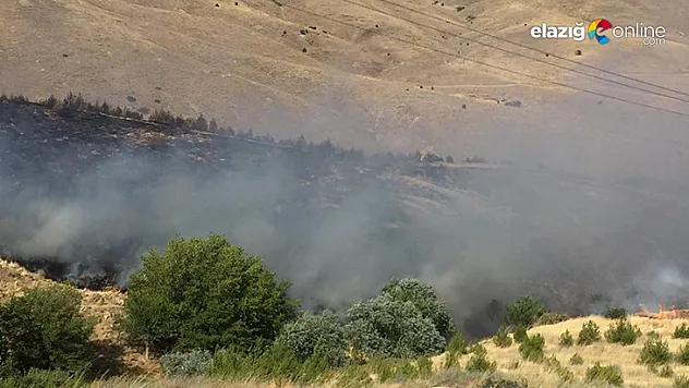 Elazığ'daki orman yangını söndürüldü