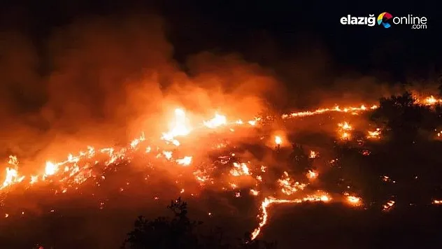 Örtü yangını rüzgarın etkisiyle yeniden alevlendi