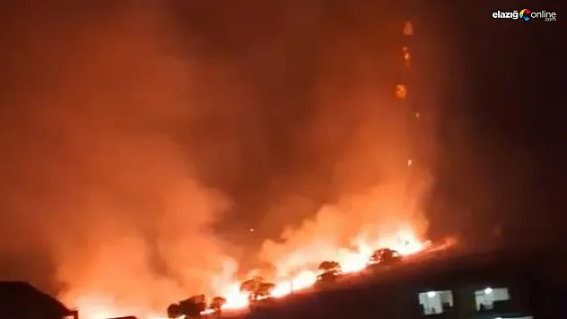Elazığ Güney Köyü'nde Yangın Paniği: İtfaiye ve Köylüler İş Başındaydı!