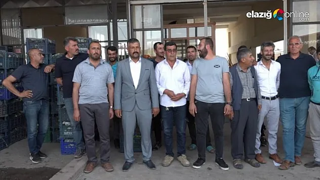 Elazığ'daki sebze üreticileri mağdur