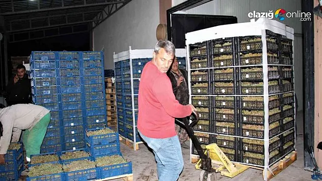 Elazığ'dan 8 ülkeye 3 bin ton üzüm ihracatı