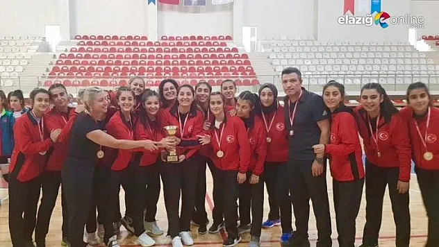 Elazığ Gençlik ve Spor Kulübü, 2. Lig'de