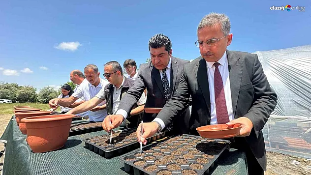 Binlerce çiçek hipodromları renklendirecek