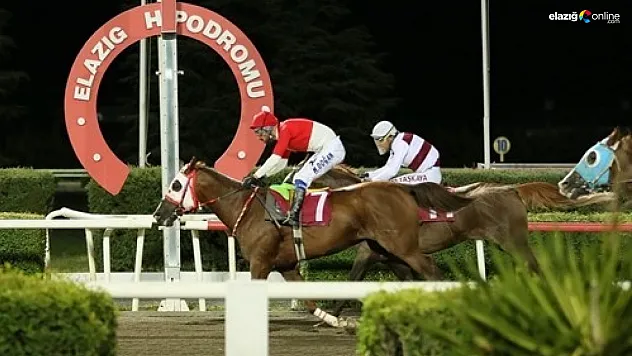 Elazığ İl Tarım ve Orman Müdürlüğü Koşusu'nu Yutangirdap kazandı