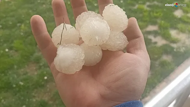 Elazığ'da Dolu Felaketi: Palu ve Köylerinde Tarım Ürünleri Zarar Gördü!