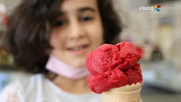 Vişne dondurmasının tadı ülke sınırlarını aştı