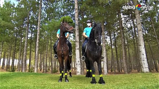Atlı birlikler, önleyici hizmet devriyesi yapacak
