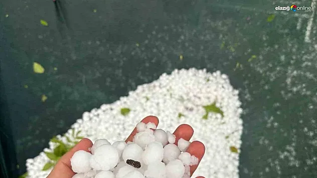 Elazığ'da Akşam Saatlerinde Sürpriz Dolu Yağışı! Araçlar ve Tarım Alanları Zarar Gördü!